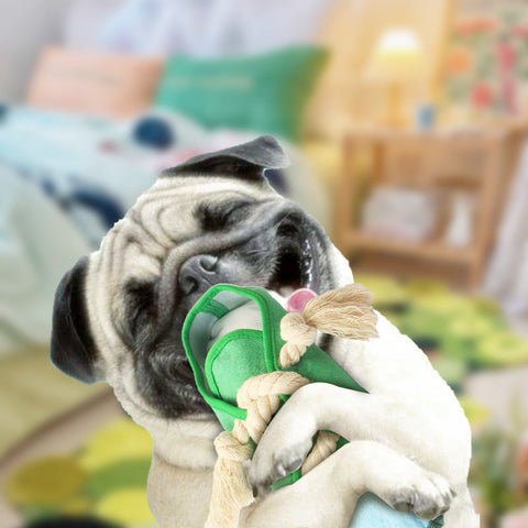 Haustier Hund Zähneknirschen Bunte Segeltuchschuhe Spielzeug